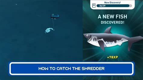 All fish in Paradise Island. . Shredder creatures of the deep